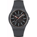 SWATCH SO29A101
