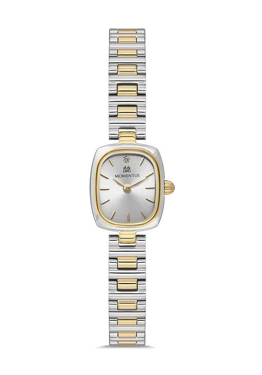 MOMENTUS CW317T-02SG