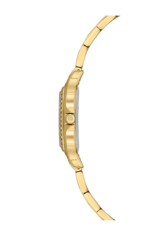 NACAR NC33-398508-DWMS
