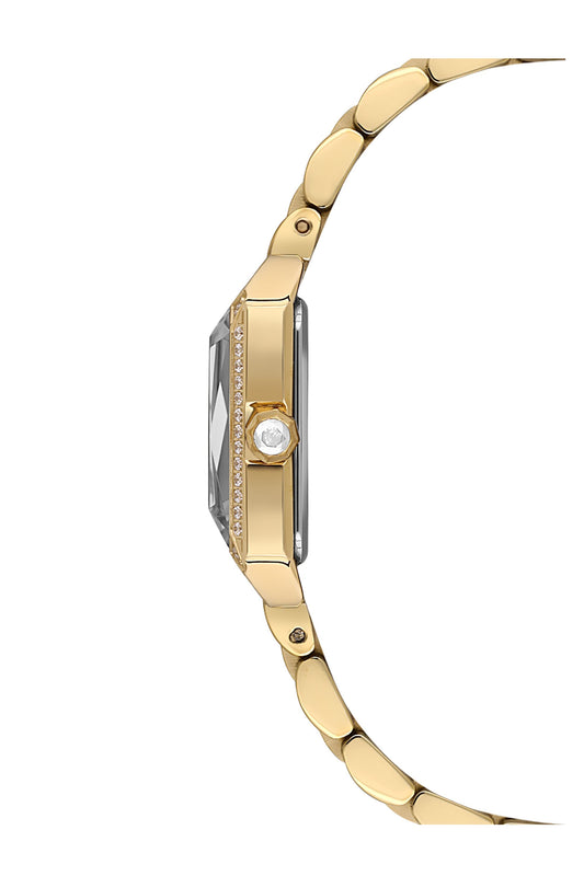 NACAR NC33-398387-DWMS