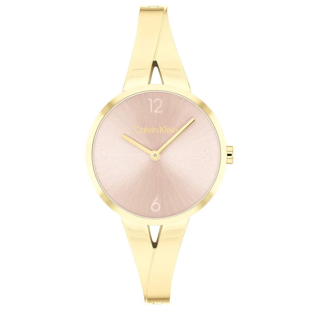 CALVIN KLEIN CK25100027