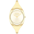 CALVIN KLEIN CK25200422