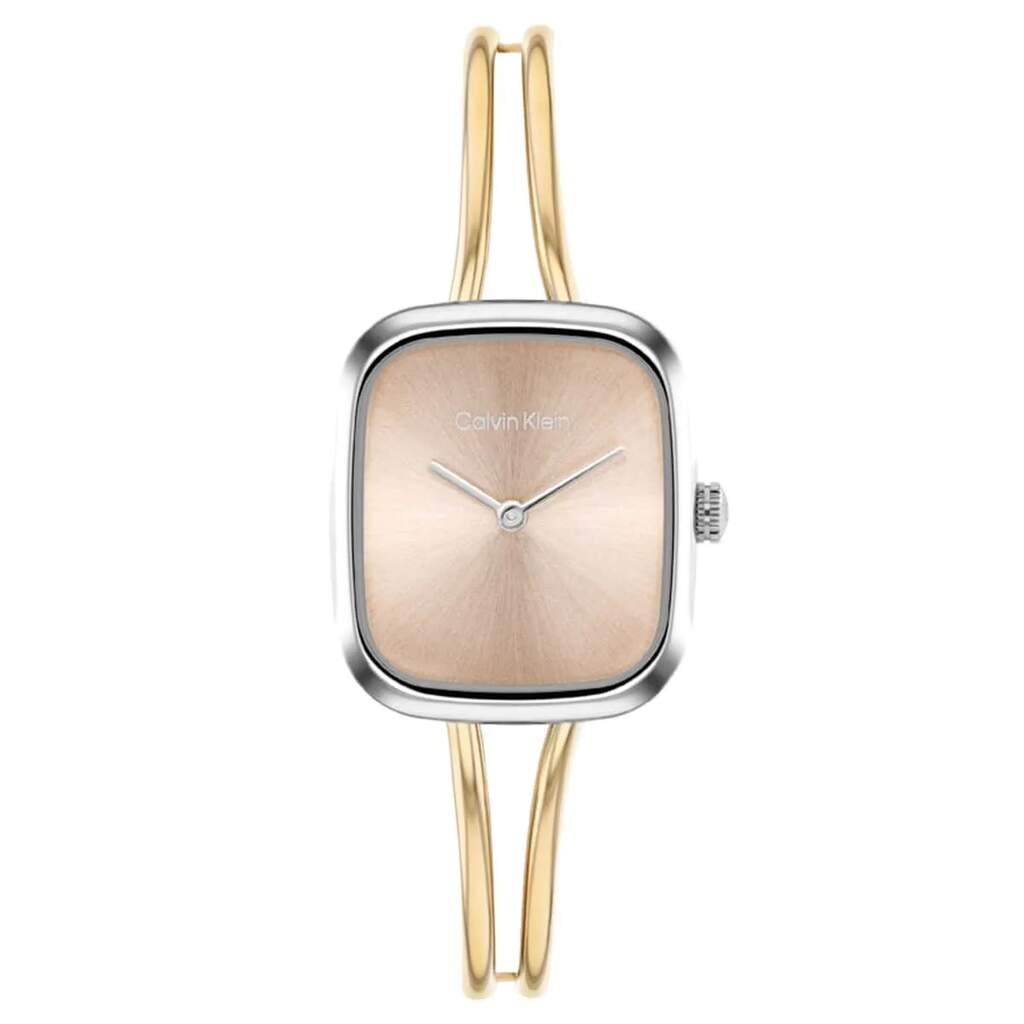 CALVIN KLEIN CK25100134