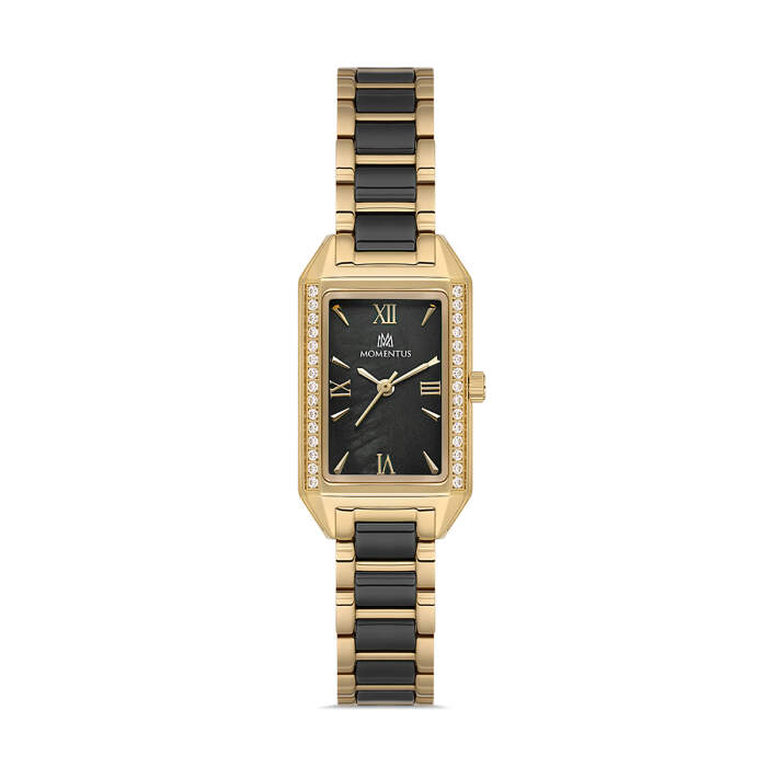 MOMENTUS SS273T-04SG
