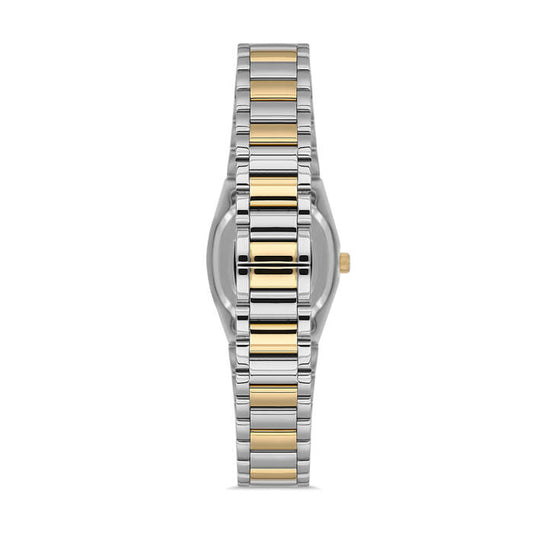 MOMENTUS CS262T-02SG