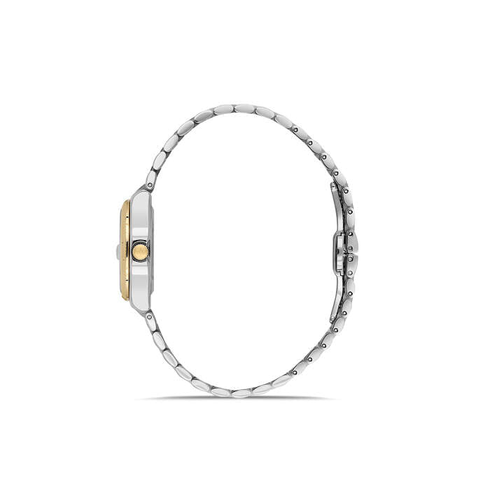 MOMENTUS CS262T-02SG
