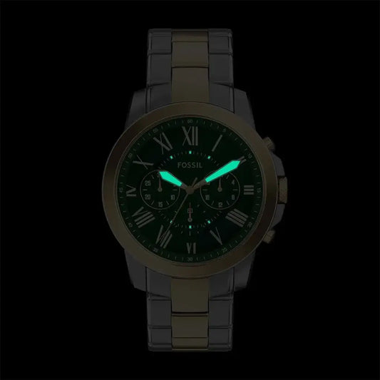 FOSSIL FFS6131