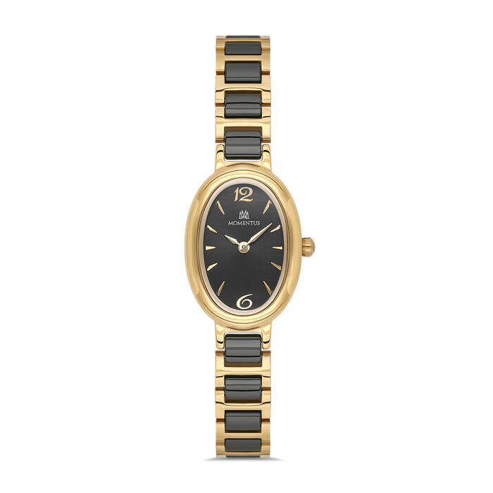 MOMENTUS CW323T-04SG