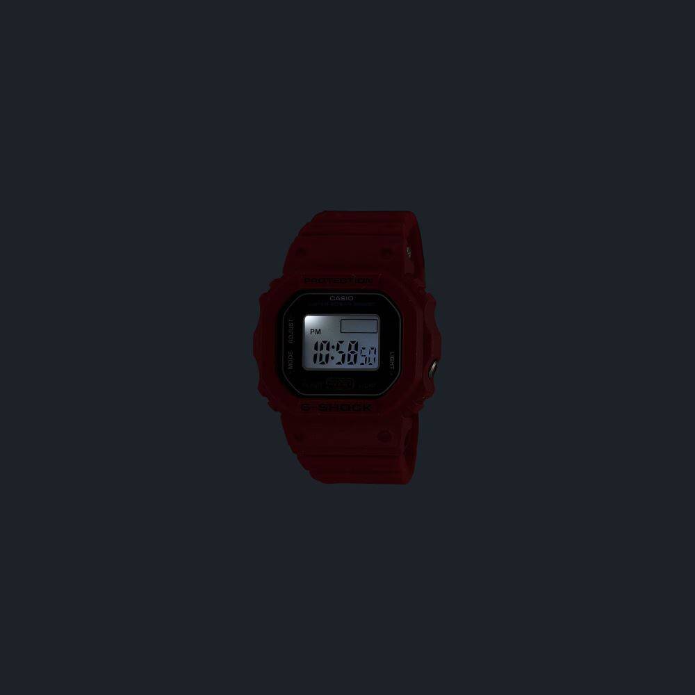 CASIO DWN-5600-4DR