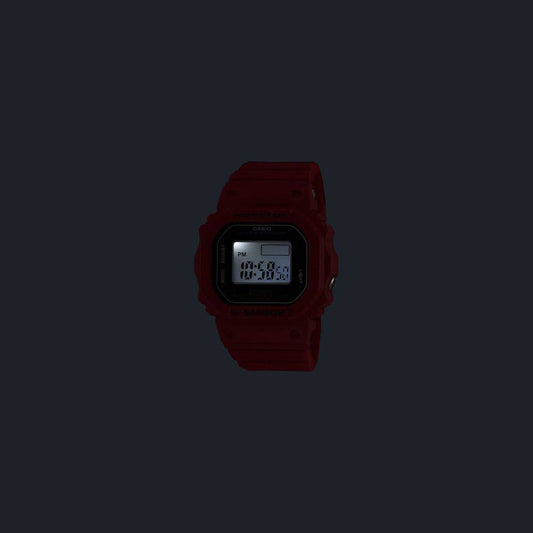 CASIO DWN-5600-4DR