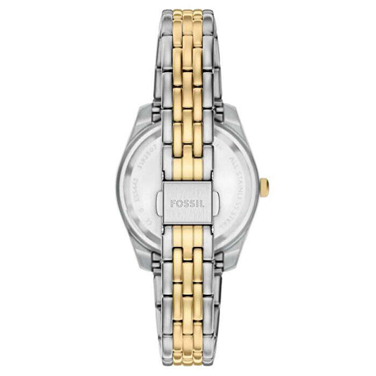 FOSSIL FES5443