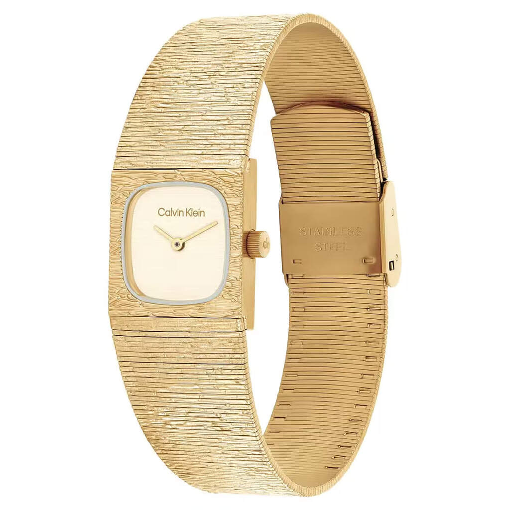 CALVIN KLEIN CK25100178