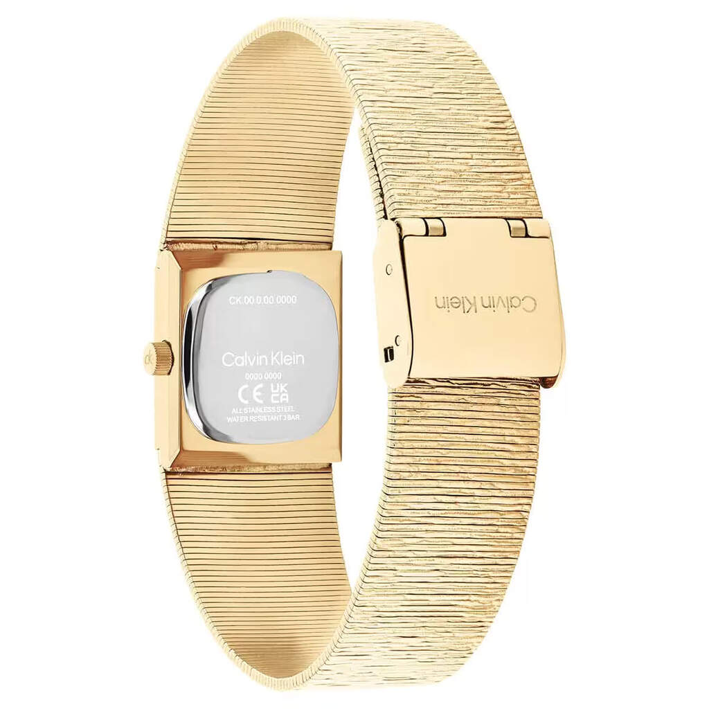 CALVIN KLEIN CK25100178