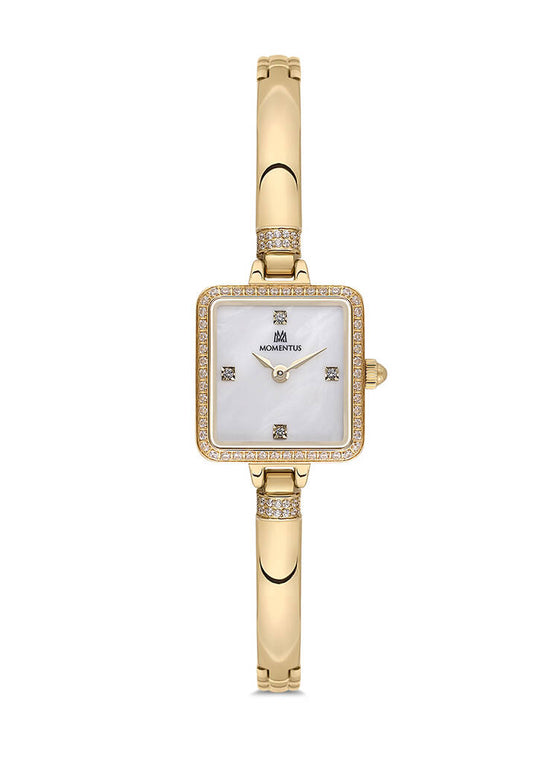 MOMENTUS SW295G-09SGS