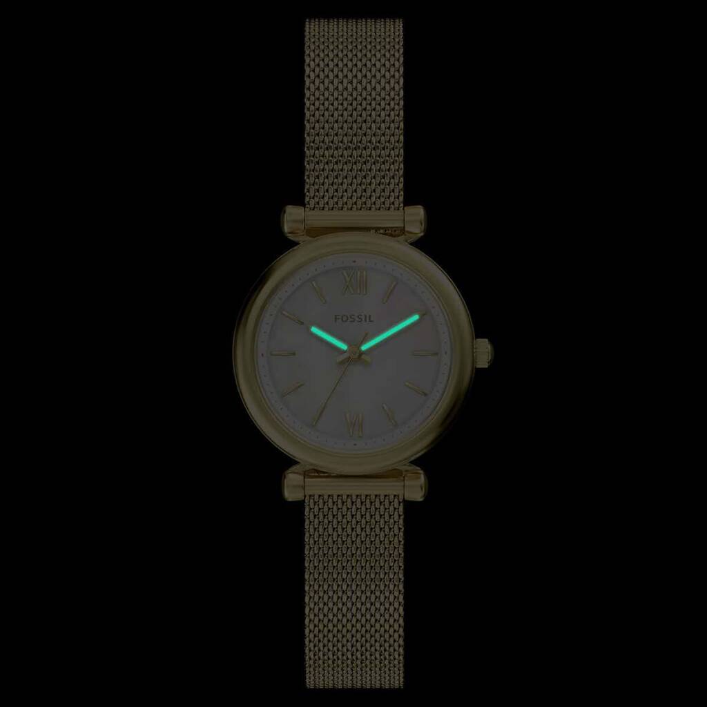 FOSSIL FES5462