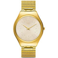 SWATCH SYXG106GG