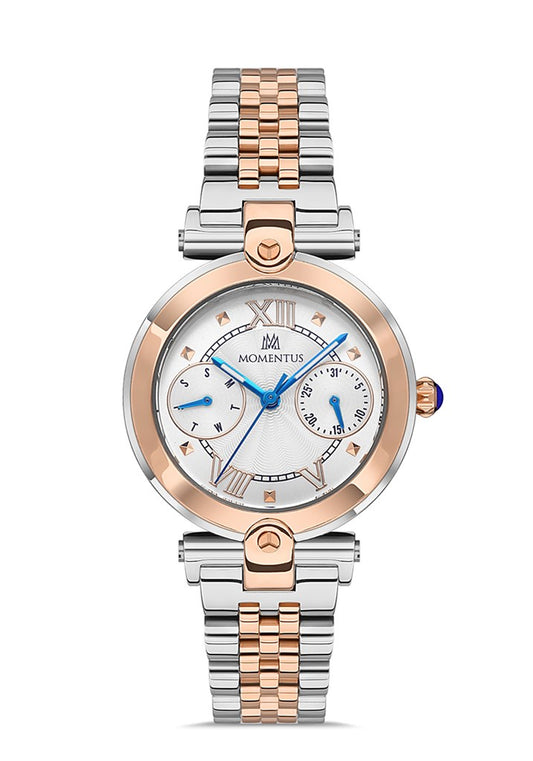 MOMENTUS CS381T-02SR