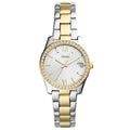 FOSSIL FES4319