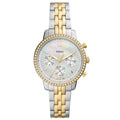 FOSSIL FES5216