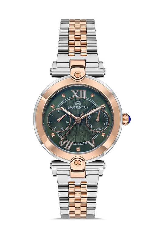 MOMENTUS CS381T-15SR