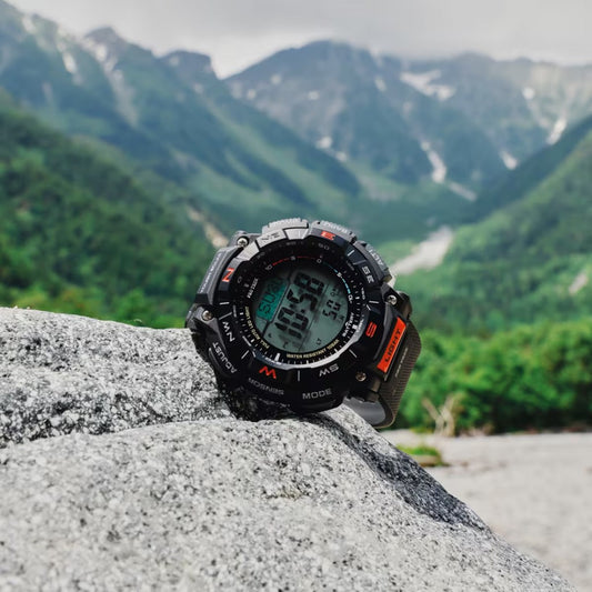 CASIO PRG-340-1DR