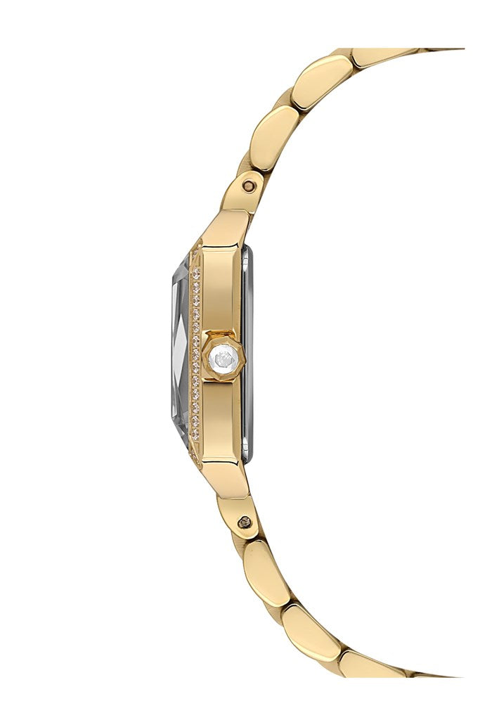 NACAR NC33-398387-DWMS