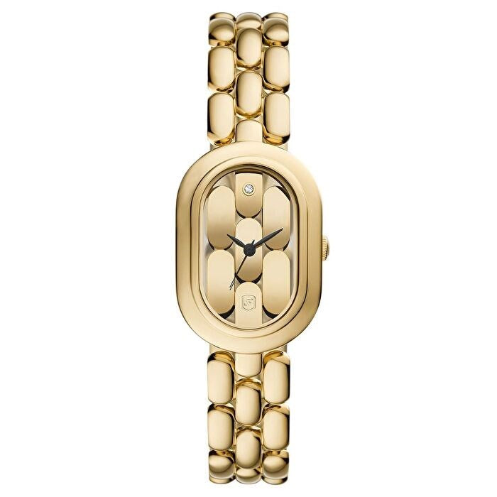 FOSSIL FES5380